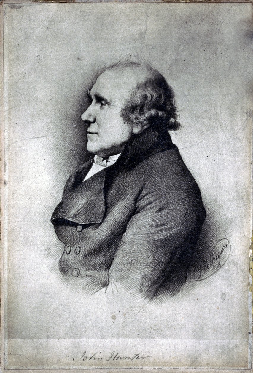 John Hunter, brytyjski chirurg i anatom, ok. 1770 autorstwa Unbekannt