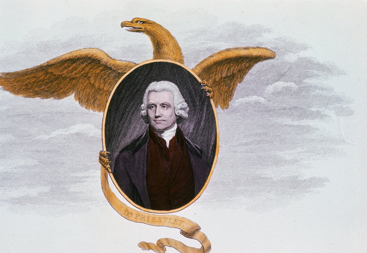 Joseph Priestley 1733-1804, angielski prezbiteriański minister i chemik, 1801 autorstwa Unbekannt