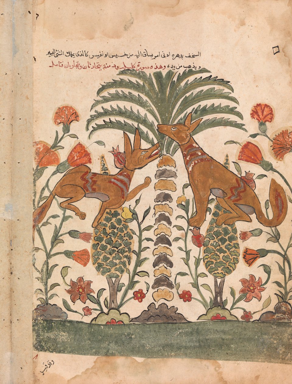 Kalila Upbraiding Dimna, Folio z Kalila wa Dimna, XVIII w. autorstwa Unbekannt