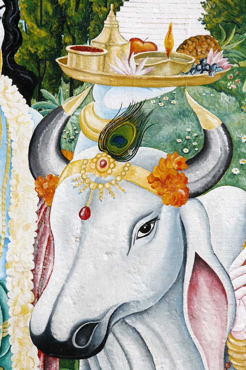 Kamadhenu Sachred Kau, Kathandum, Nepal autorstwa Unbekannt