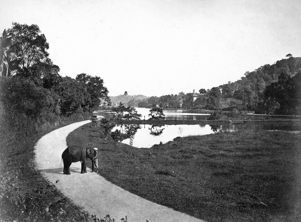 Jezioro Kandy, Kandy, Sri Lanka, ok. 1910 autorstwa Unbekannt