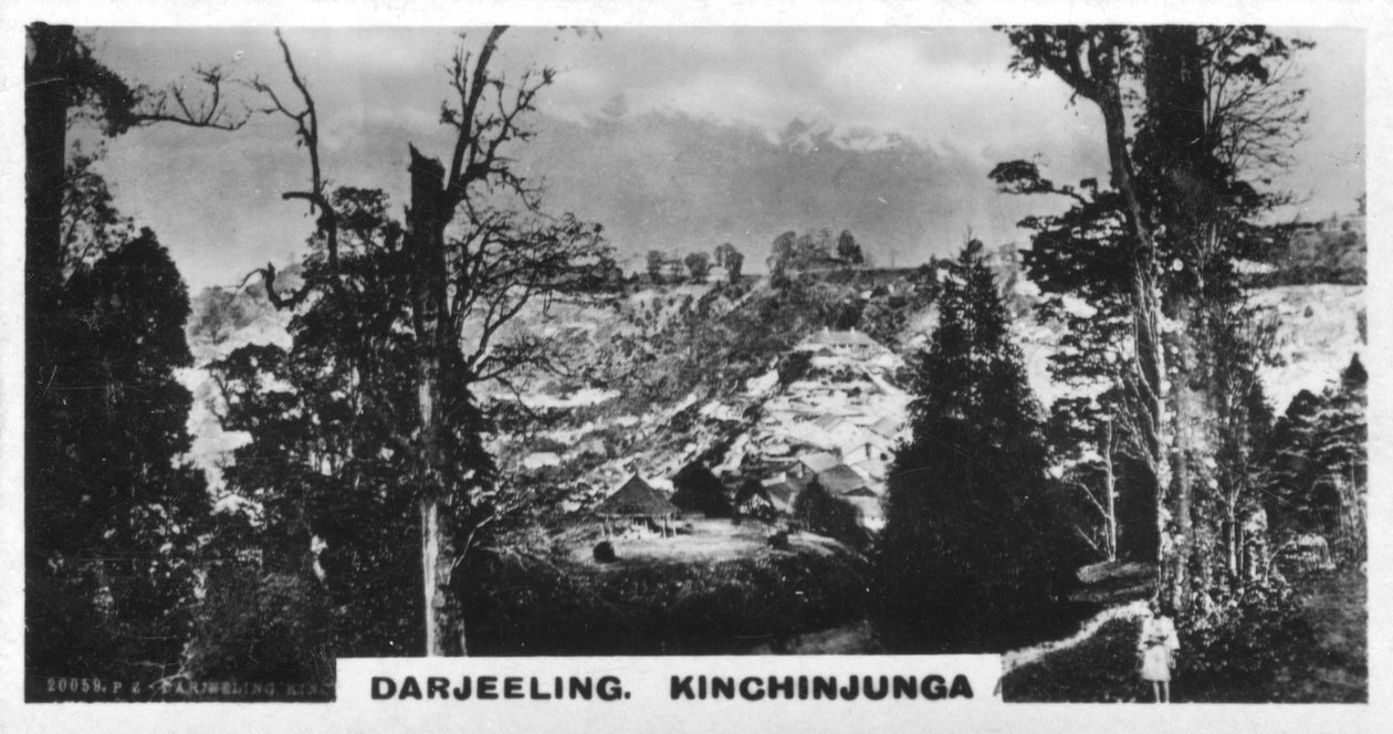 Kinchinjunga z Beechwood, Darjeeling, Indie, ok. 1925 r. autorstwa Unbekannt