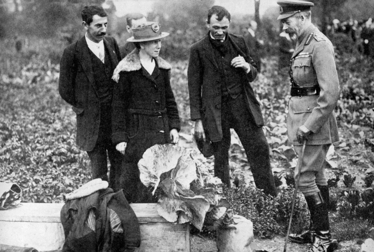 Król Jerzy V podziwia ogródki działkowe na Clapham Common, Londyn, c1910-c1920 1936 autorstwa Unbekannt