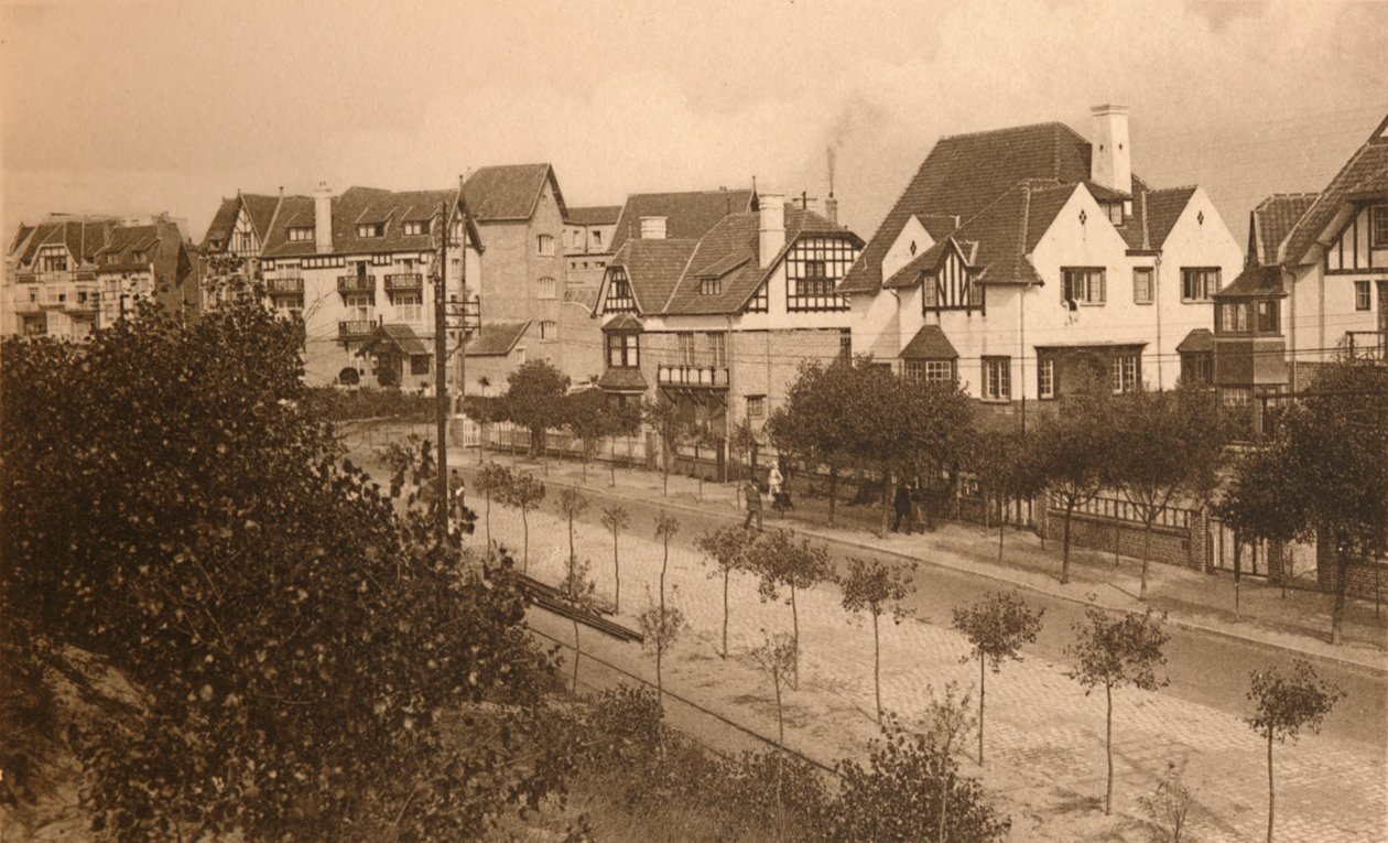 Aleja Elżbiety, ok. 1900. autorstwa Unbekannt