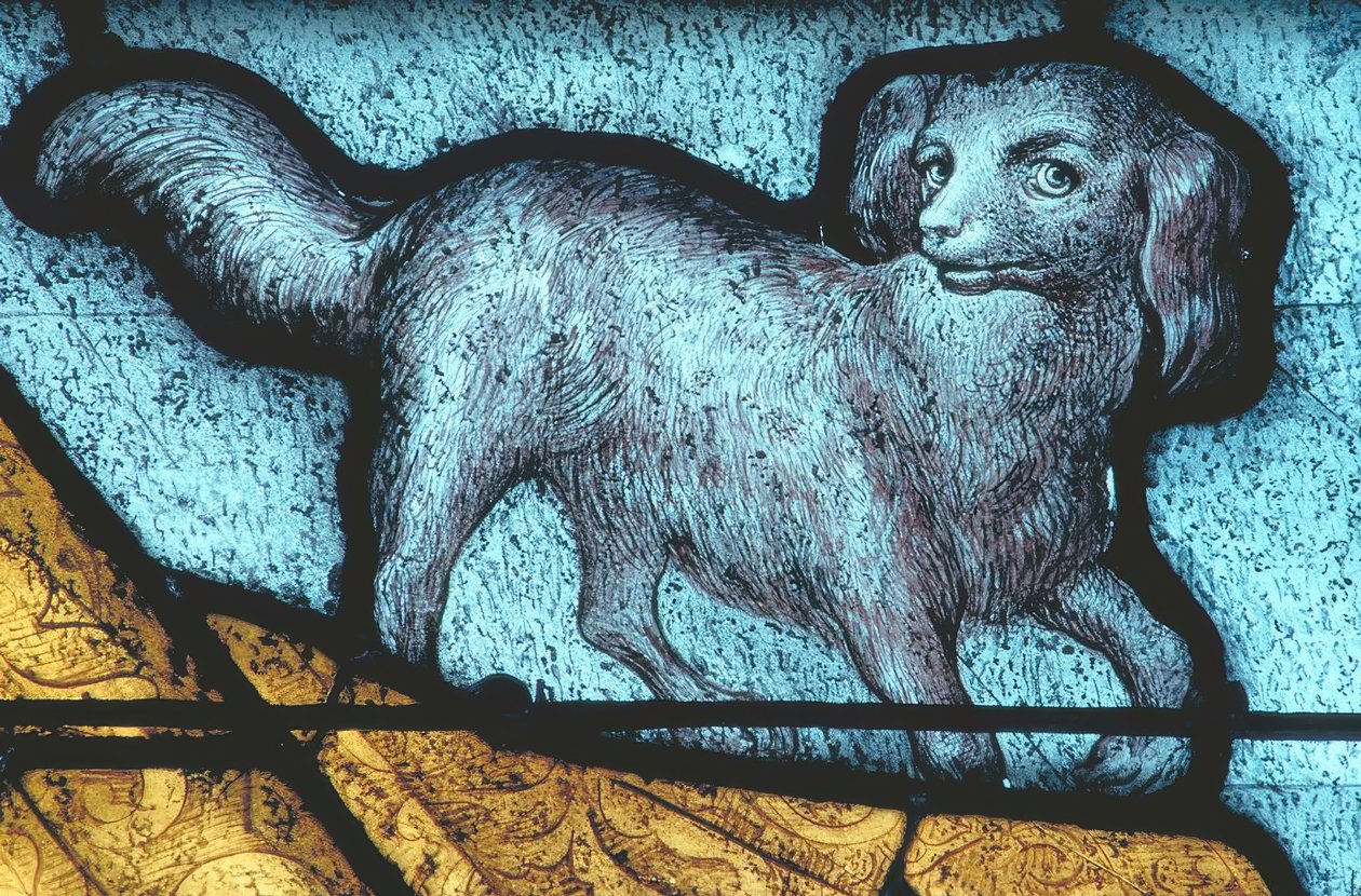 La Ferté-Bernard, pies / witraż XV wiek autorstwa Unbekannt