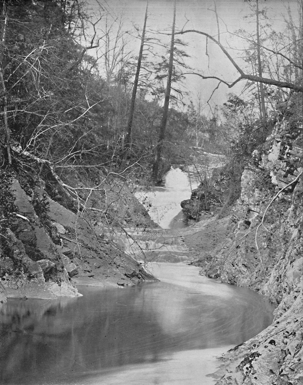 Koronkowe wodospady i basen smoków, naturalny most, Wirginia, c1897. autorstwa Unbekannt