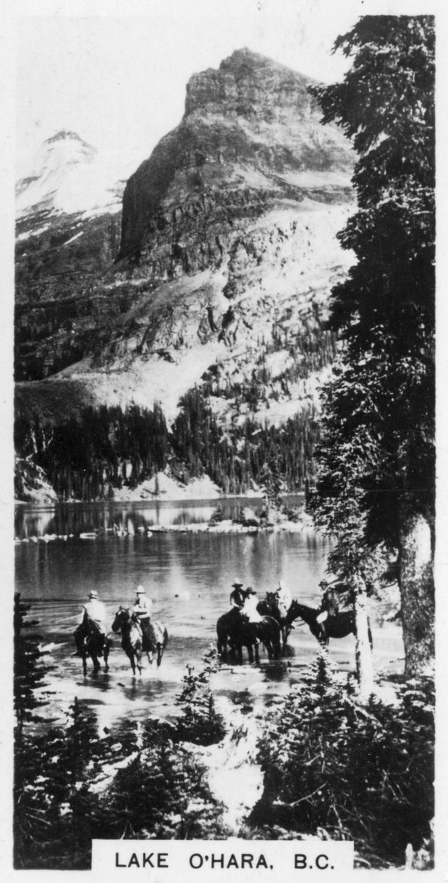 Jezioro OHara, Kolumbia Brytyjska, Kanada, ok. 1920 r. autorstwa Unbekannt