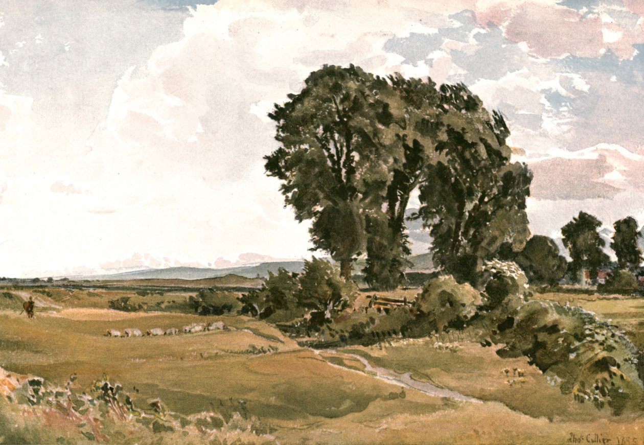 Krajobraz, okolice Wareham, Dorset - szkic plenerowy, ok. 1900. autorstwa Unbekannt