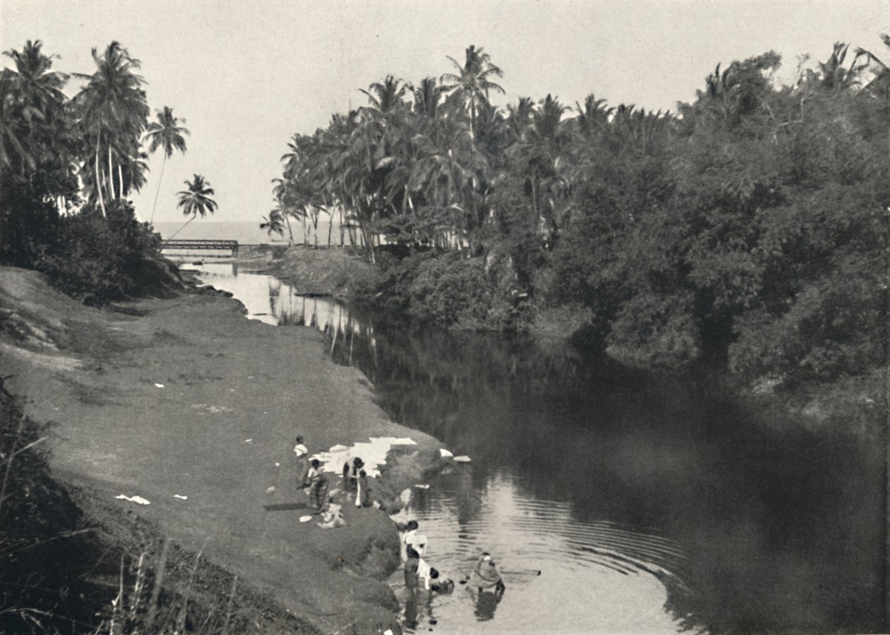 Krajobraz rzeczny w Dehiwala, między Kolombo a Mount Lavinia, 1926 autorstwa Unbekannt