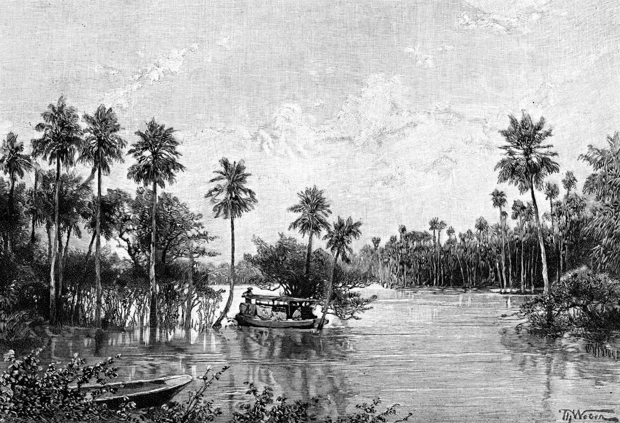 Las Palmes Lagunas, w pobliżu ujścia Pilcomayo, 1895 autorstwa Unbekannt