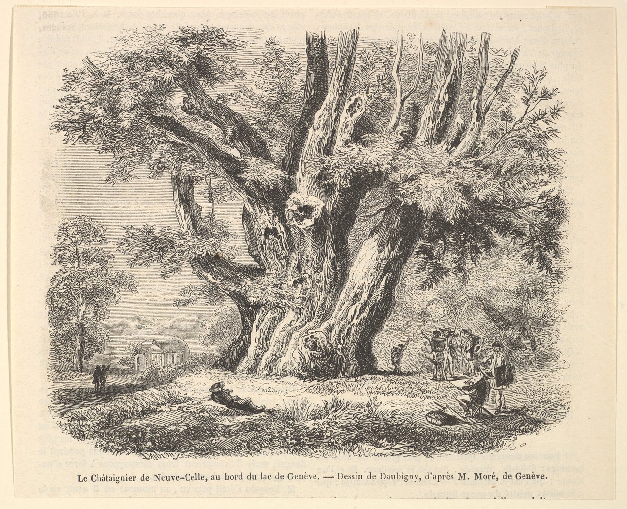 Kasztanowiec w Neuve-Celle, nad brzegiem Jeziora Genewskiego, według Daubigny, 1835-78. autorstwa Unbekannt