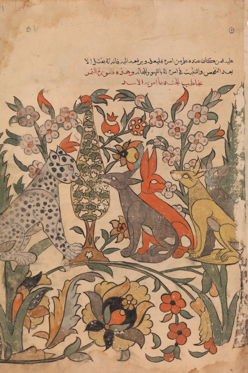 Leopard Bearing Lion