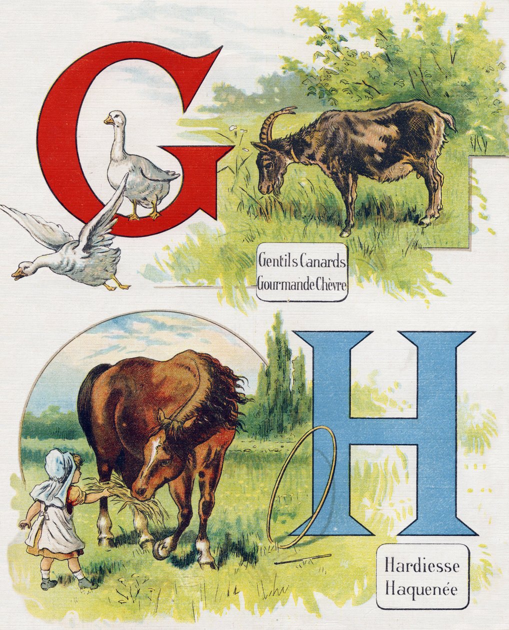 Litera G i H: Dobre kaczki, chciwa koza, śmiałość i Haquenee. Grawerowanie w "ABC L