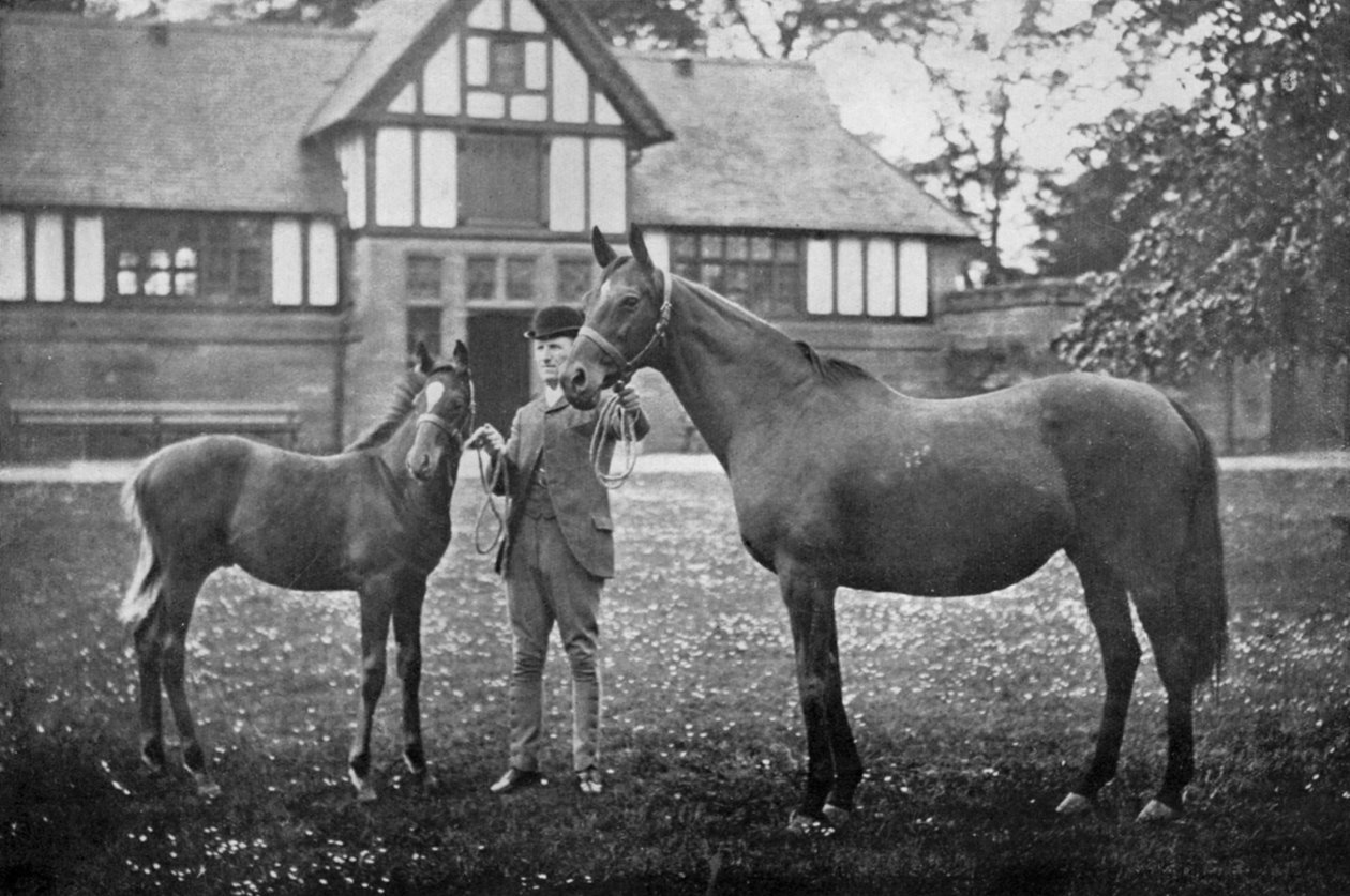 Lily Agnes, z Orelio by Bend Or, zdobywczyni 4955 £, 1894 1938 autorstwa Unbekannt