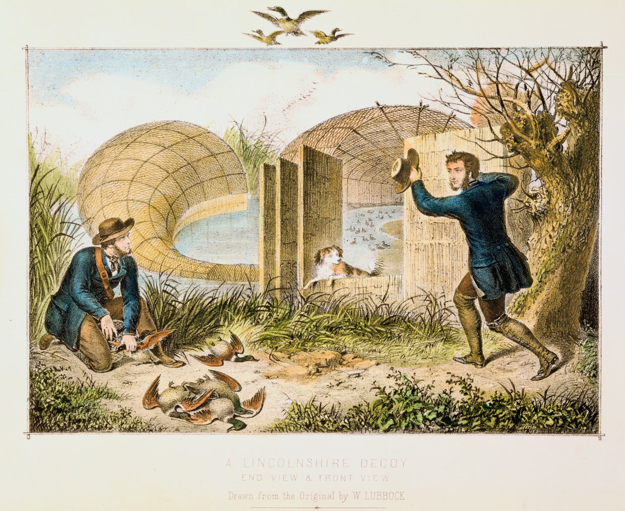 Wabik na kaczki Lincolnshire, ok. 1845 r autorstwa Unbekannt