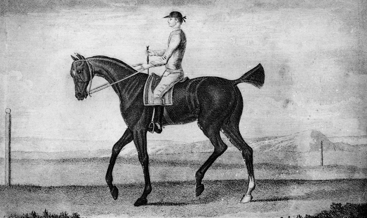 Mały kierowca, c1850-1900, 1911 autorstwa Unbekannt