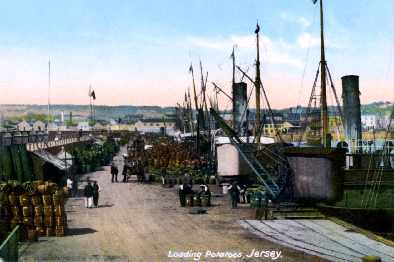 Ładowanie ziemniaków, Jersey, 1908 autorstwa Unbekannt