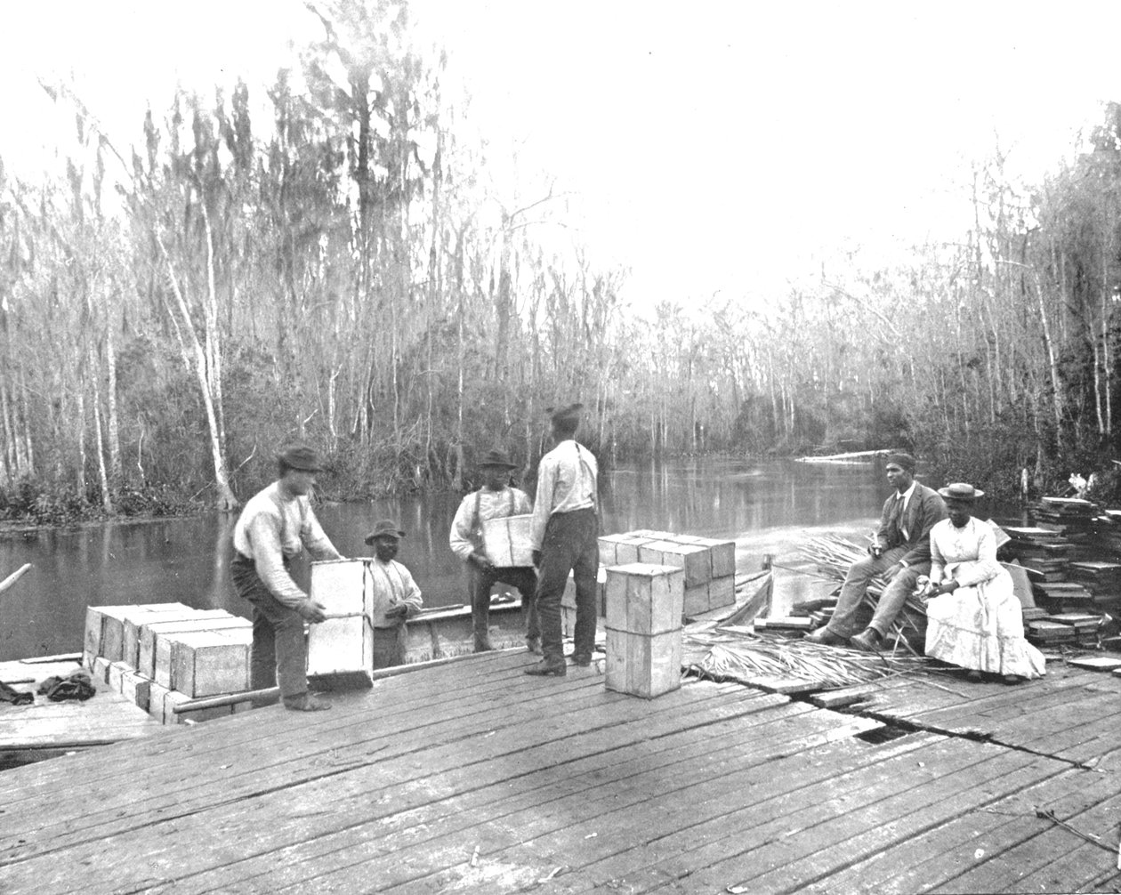 Ładowanie pomarańczy na rzece Ocklawaha, Floryda, USA, ok. 1900. autorstwa Unbekannt