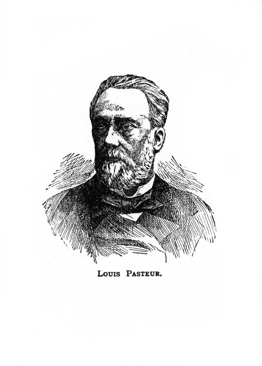 Louis Pasteur, XIX-wieczny francuski mikrobiolog i chemik, XX w. autorstwa Unbekannt