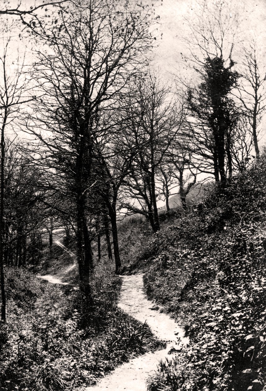 Lovers Lane, Fairlight, Hastings, Sussex autorstwa Unbekannt