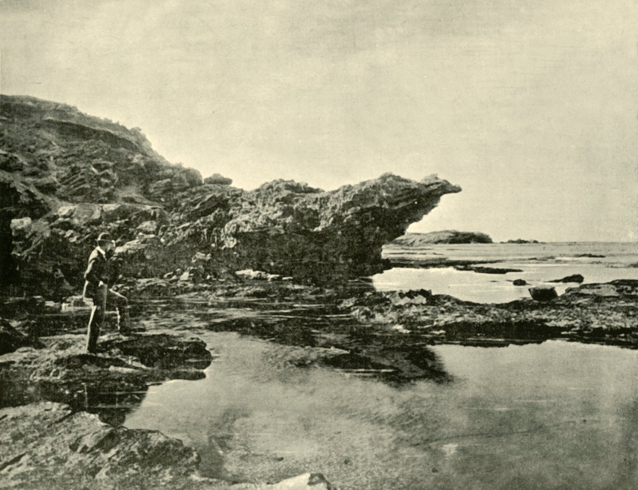 Odpływ, Shelly Beach, Warrnambool, 1901. autorstwa Unbekannt