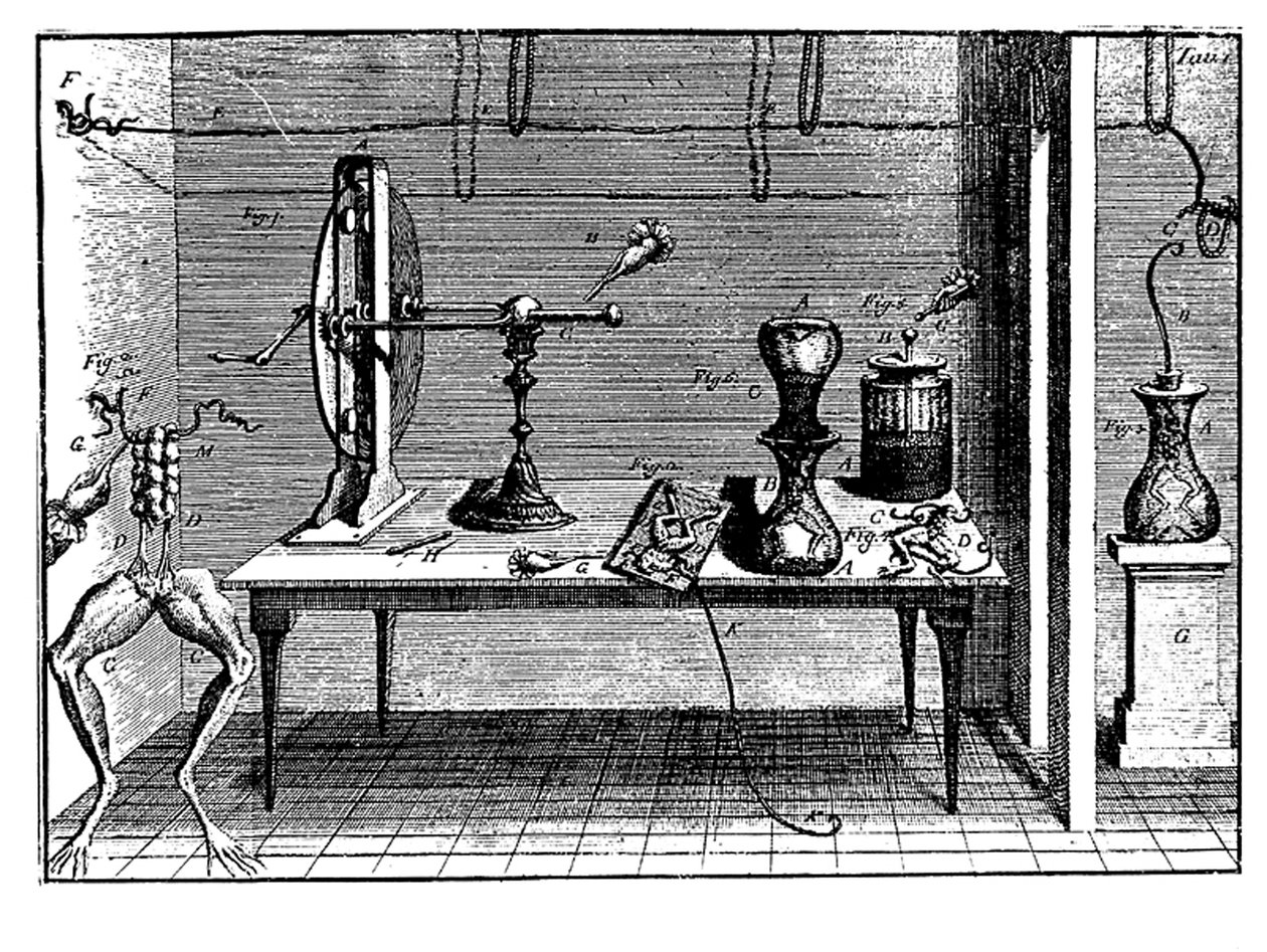 Luigi Galvanis eksperymentuje z elektrycznością, 1791 autorstwa Unbekannt