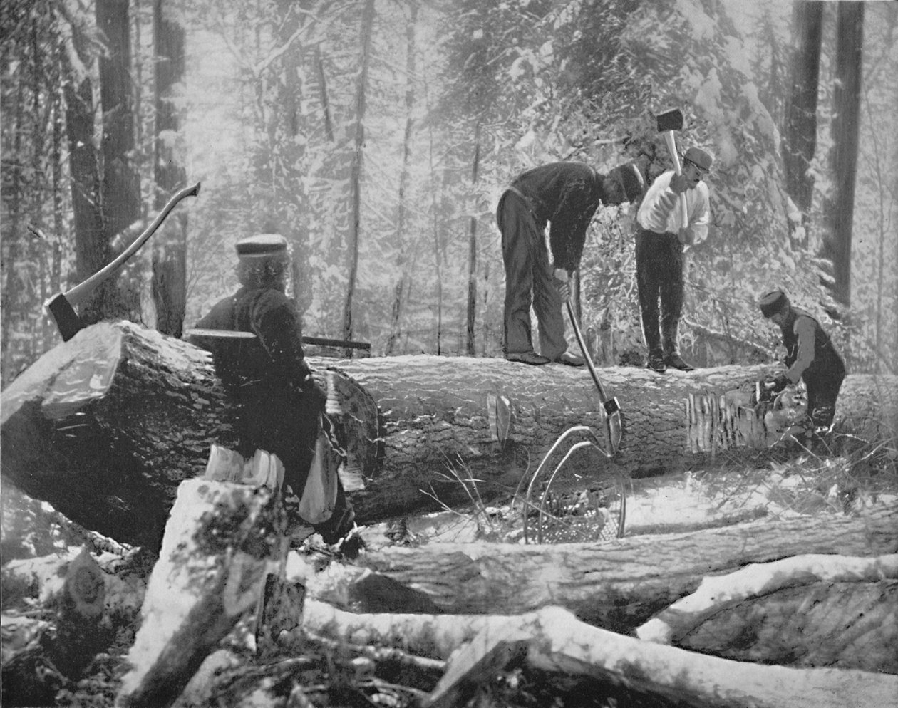 Trzepotanie na rzece Ottawa, Kanada, c1897. autorstwa Unbekannt