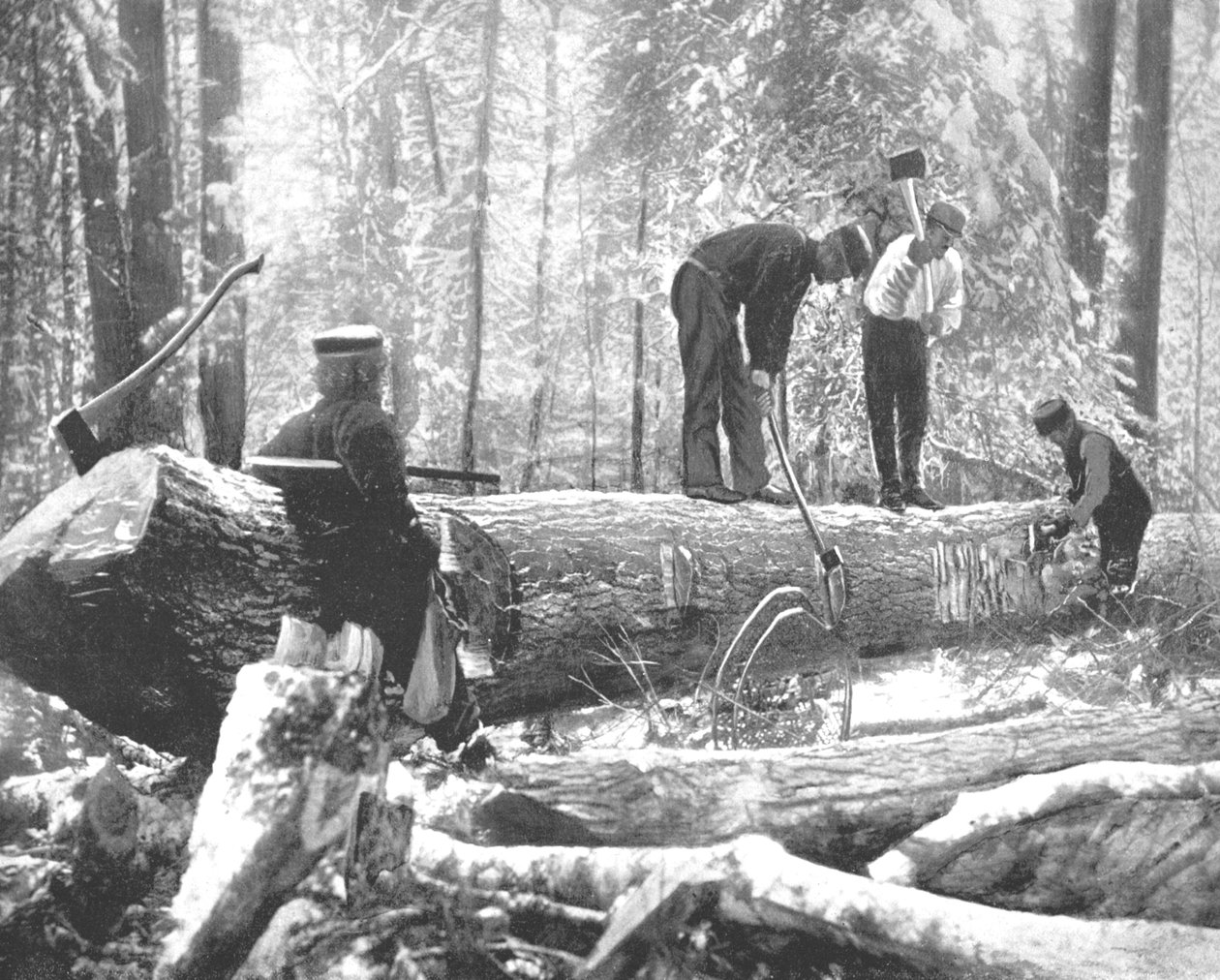 Trzepotanie na rzece Ottawa, Kanada, ok. 1900. autorstwa Unbekannt