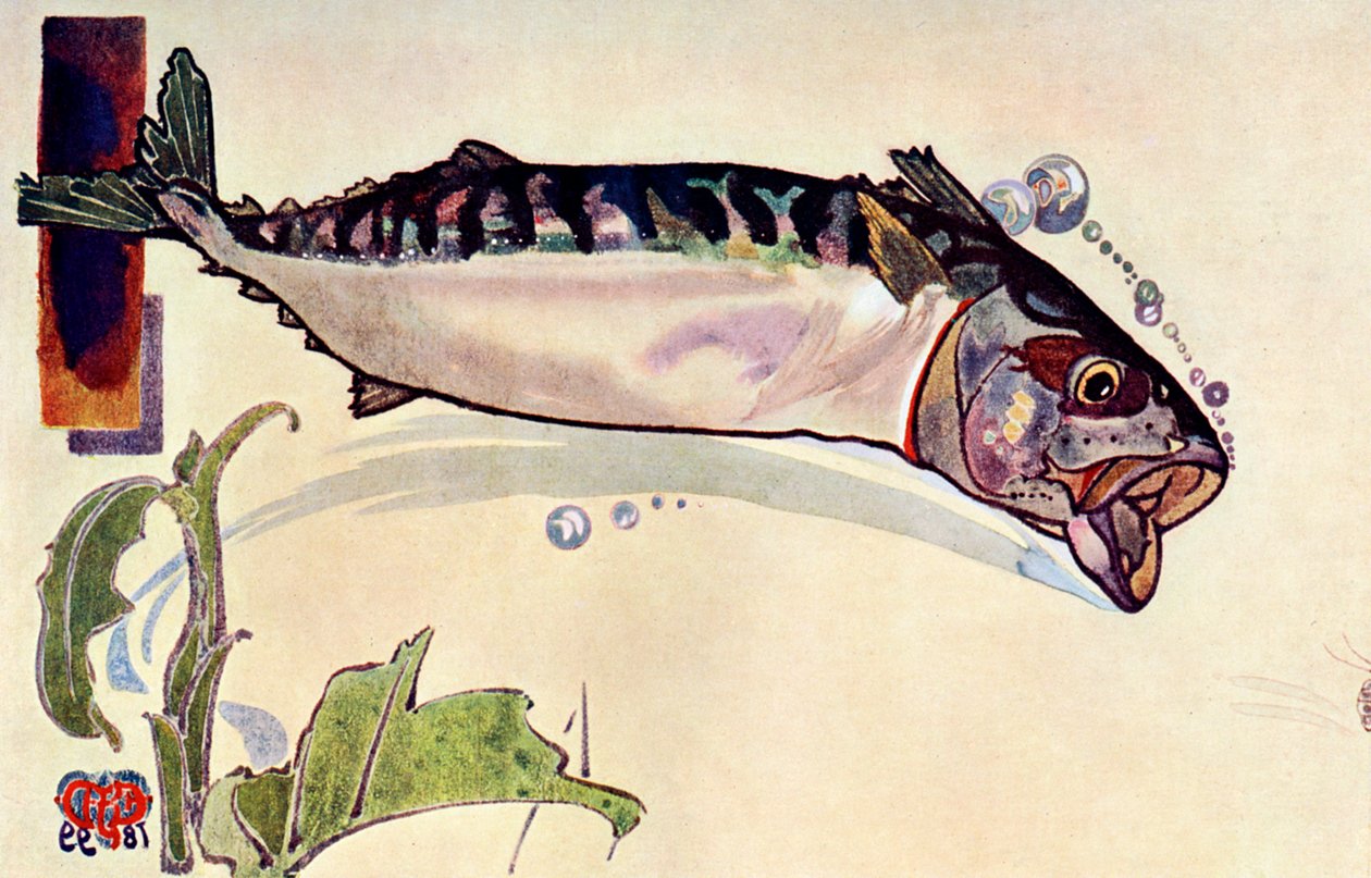 Makrela, 1900 autorstwa Unbekannt