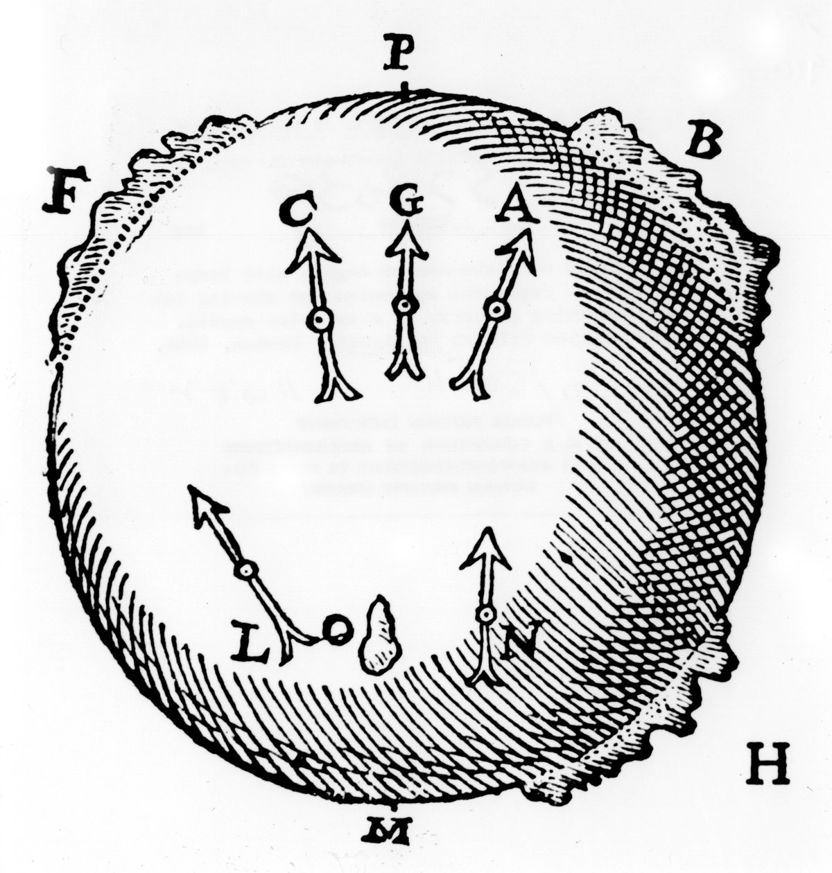 Magnetyzm, 1600 autorstwa Unbekannt