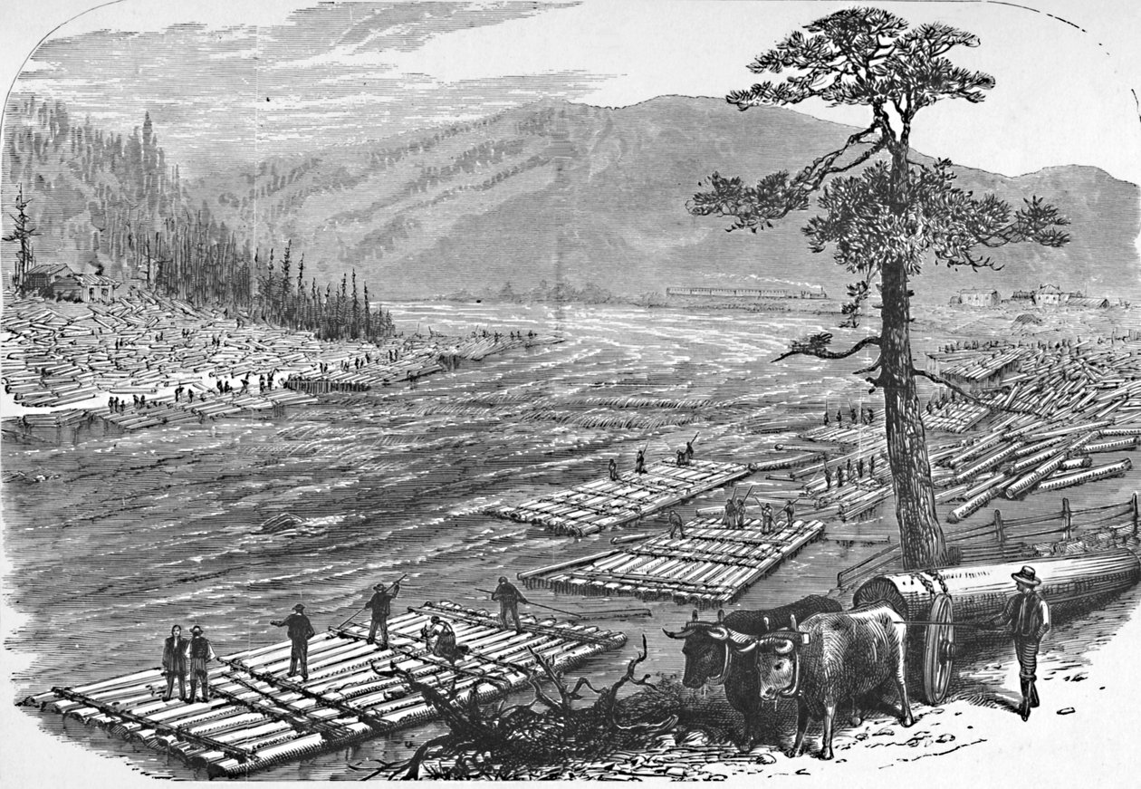 Wymyślanie tratw na rzece Susquehanna. Scena na linii kolei Erie, 1883 autorstwa Unbekannt