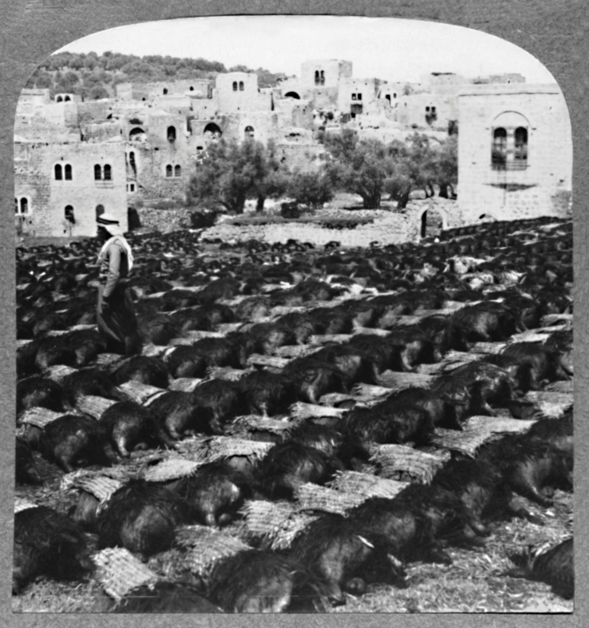 Robienie butelek wina, Hebron, ok. 1900 autorstwa Unbekannt