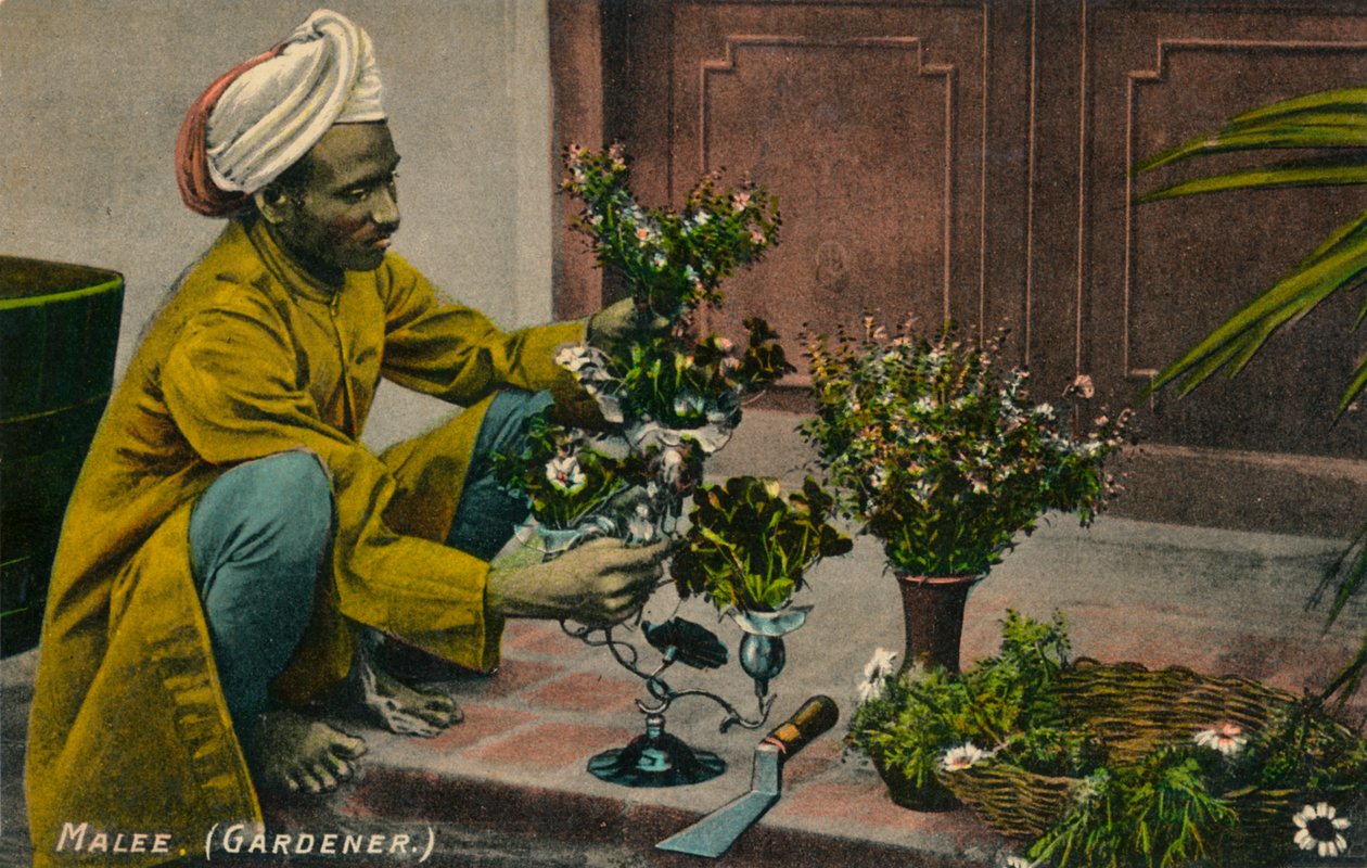 Malee Ogrodnik, ok. 1900 autorstwa Unbekannt