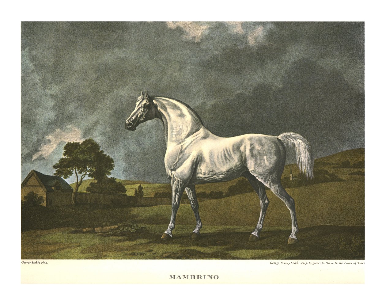 Mambrino, ok. 1779, ok. 1955. autorstwa Unbekannt