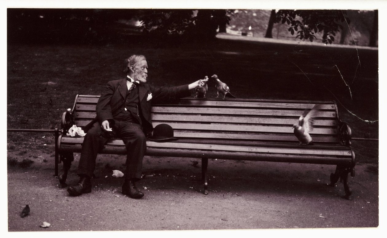Mężczyzna na ławce w parku, ok. 1920 r. Migawkowe zdjęcie mężczyzny siedzącego na ławce w parku karmiącego gołębie, wykonane przez nieznanego fotografa ok. 1920 r. autorstwa Unbekannt