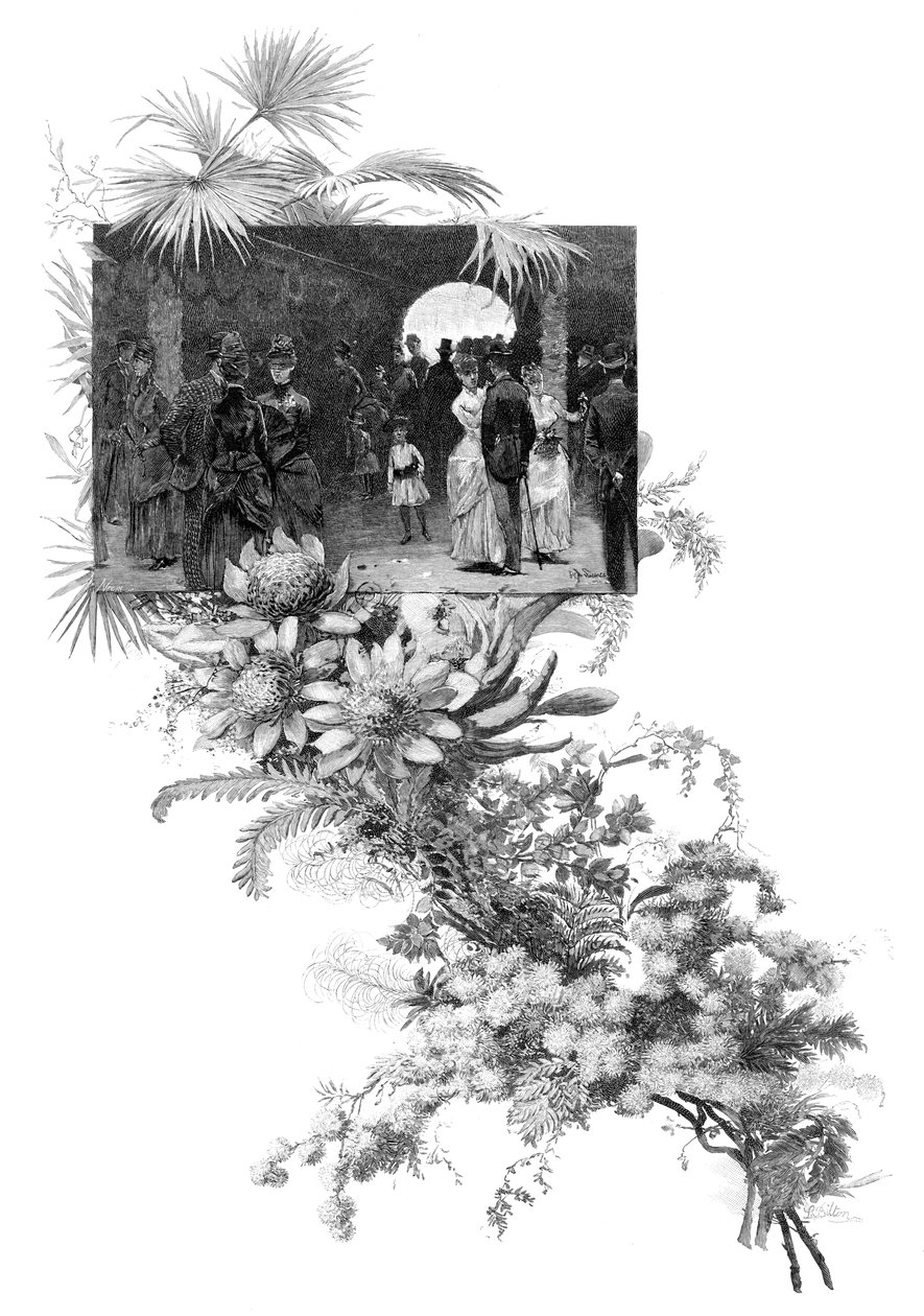 Męski pokaz dzikich kwiatów, Sydney, Nowa Południowa Walia, Australia, 1886 autorstwa Unbekannt