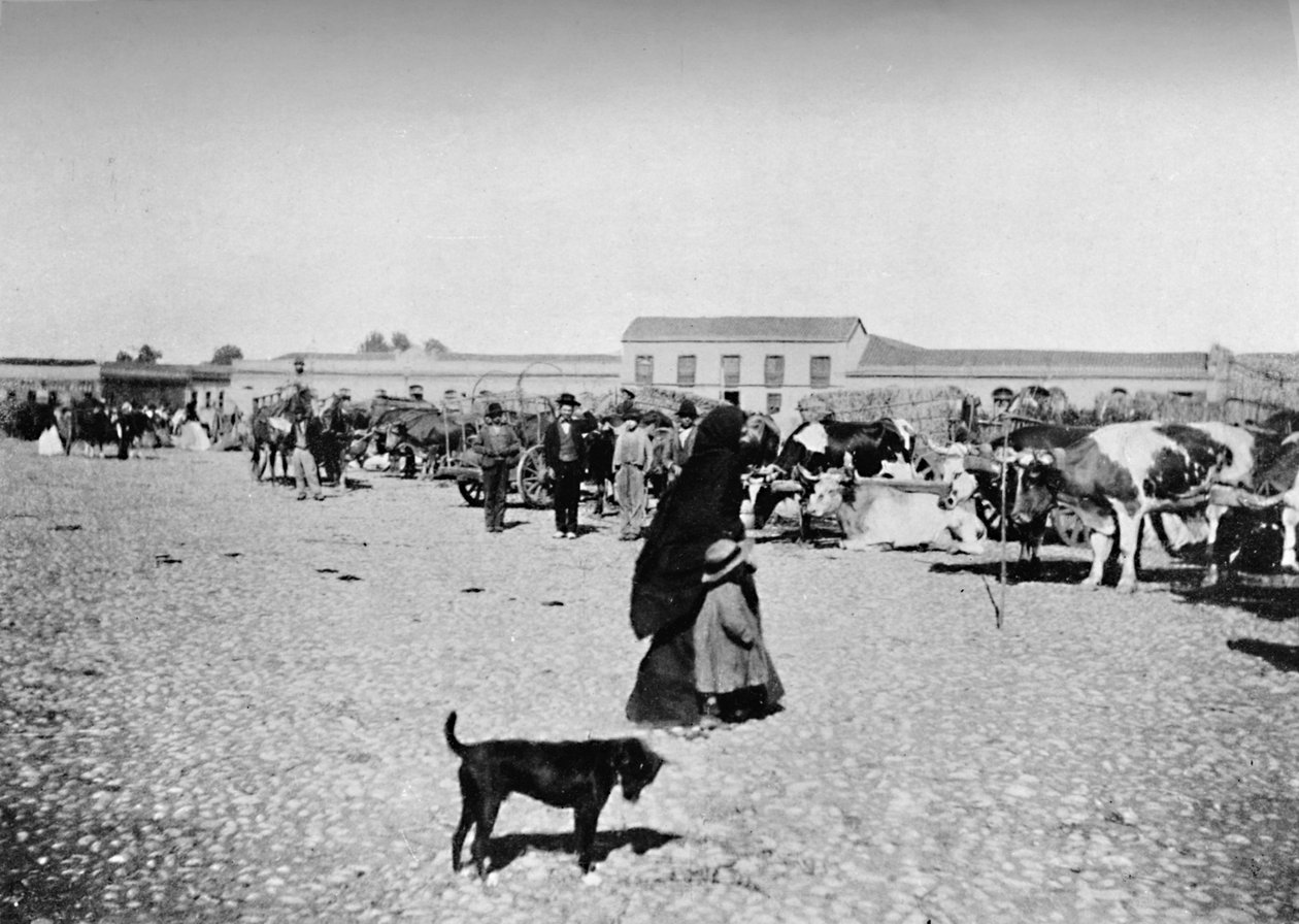 Dzień Targowy w Chillan, 1911 autorstwa Unbekannt