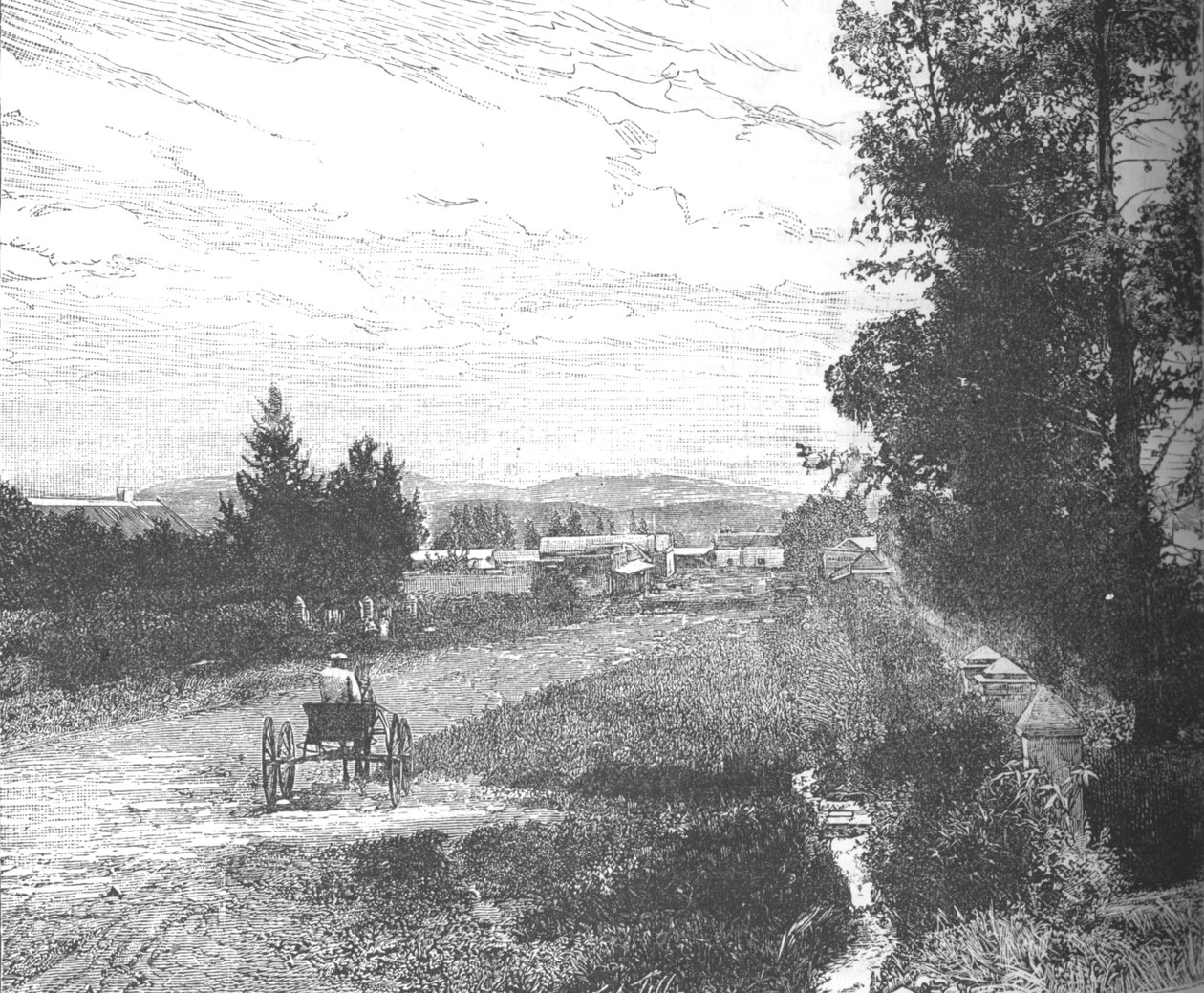 Ulica Targowa, Pretoria, ok. 1880 r. autorstwa Unbekannt
