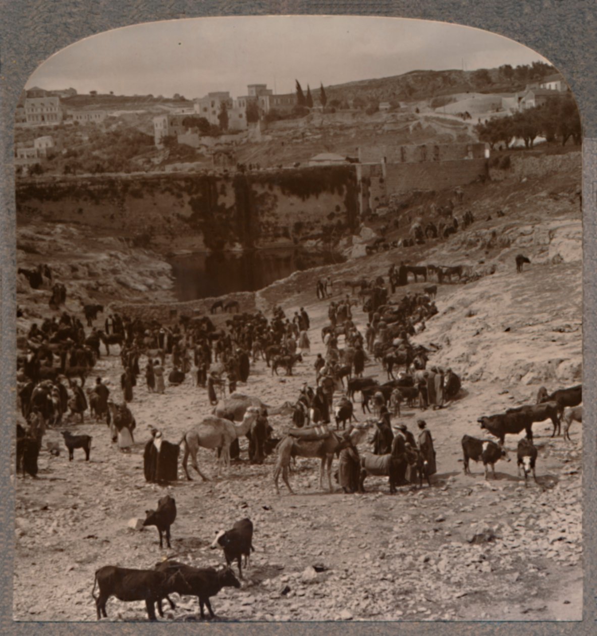Dzień targowy przy sadzawce Gichon, ok. 1900 autorstwa Unbekannt