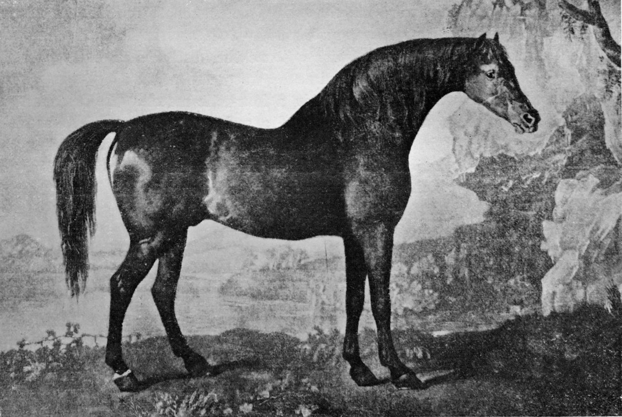 Marske, 1750-1779, 1911 autorstwa Unbekannt