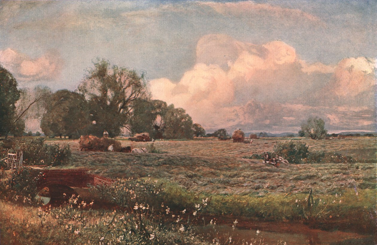 Słodycze łąkowe, 1893, ok. 1902. autorstwa Unbekannt