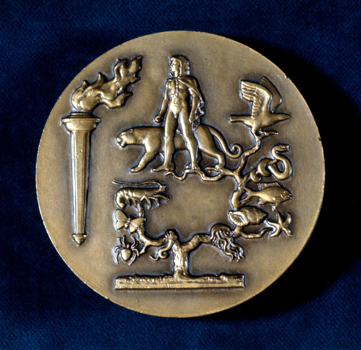 Medal upamiętniający Jeana Baptiste de Moneta, Chevaliera de Lamarcka, francuskiego biologa, XX w. autorstwa Unbekannt