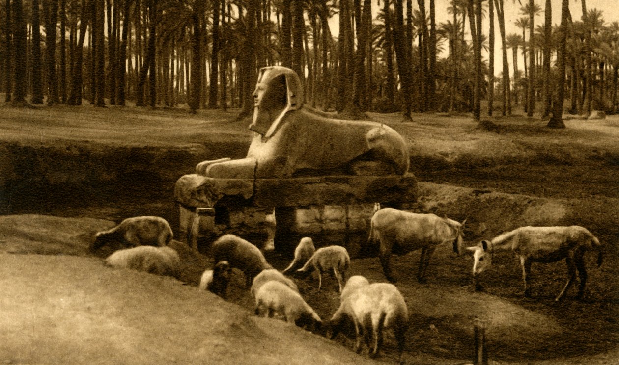 Memphis - Sfinks alabastrowy, c1918-c1939. autorstwa Unbekannt