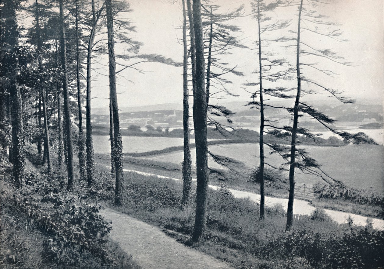 Menai - Z drewna Bangor, 1895 autorstwa Unbekannt