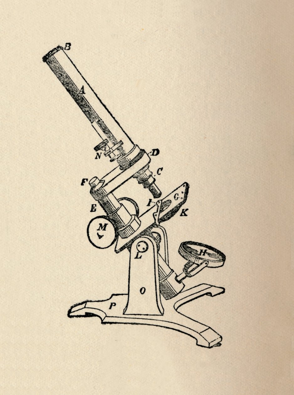 Mikroskop, 1912 autorstwa Unbekannt