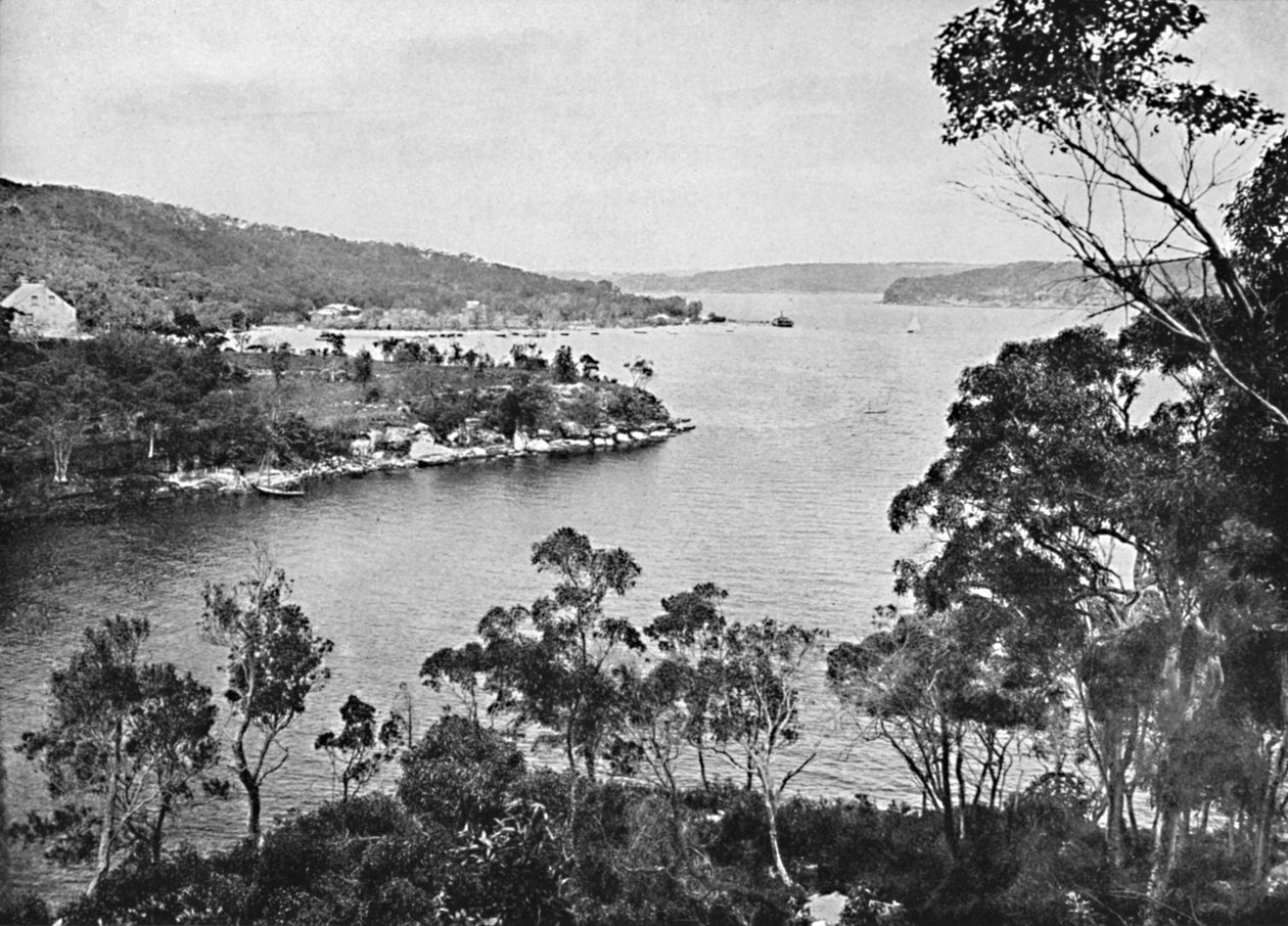 Middle Harbour, od Spit Road, ok. 1900. autorstwa Unbekannt