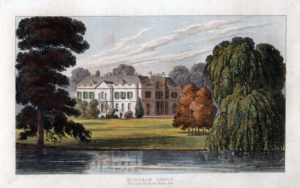 Mitcham Grove, Surrey, siedziba Henry
