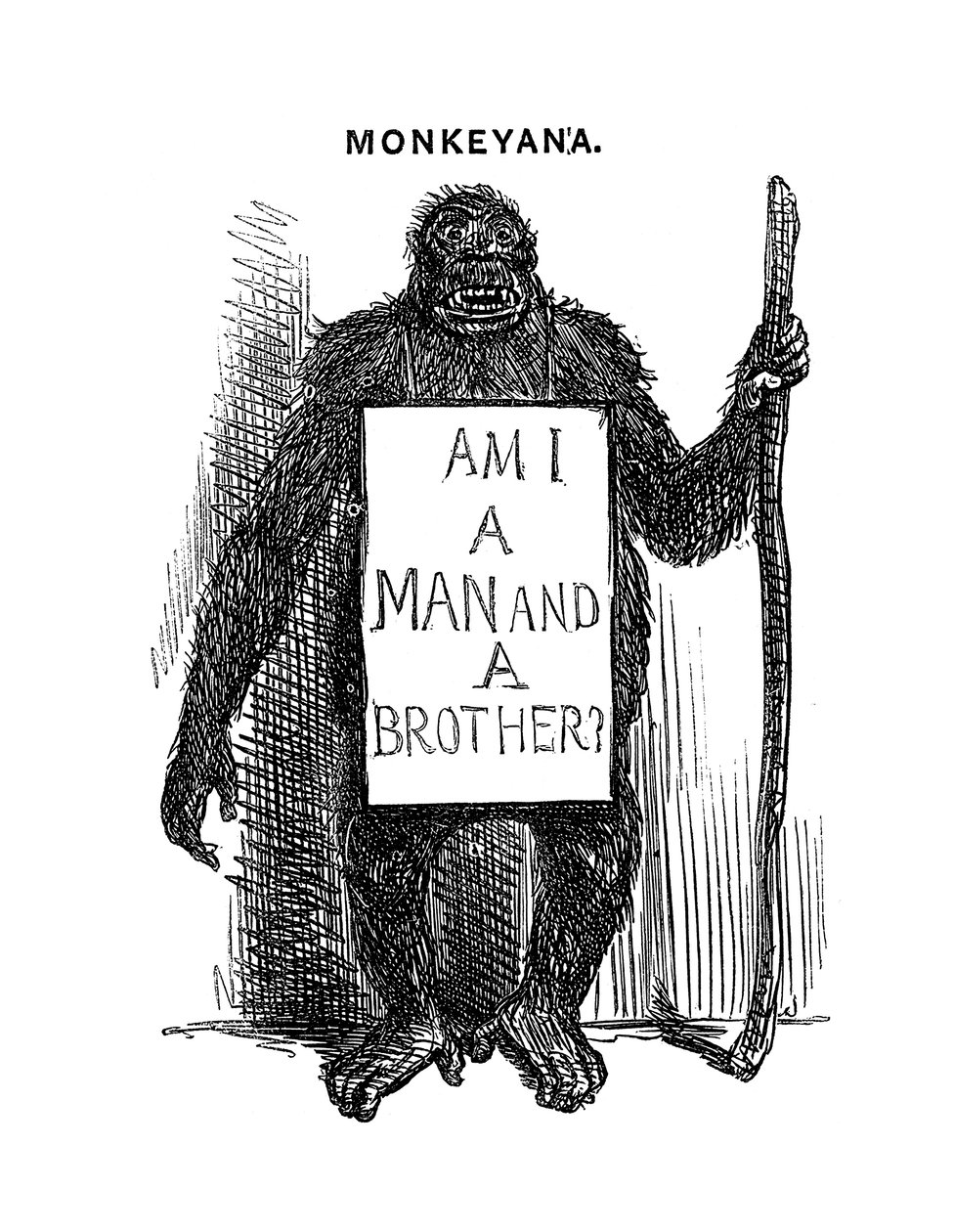 Monkeyana: Czy jestem mężczyzną i bratem, 1861 autorstwa Unbekannt