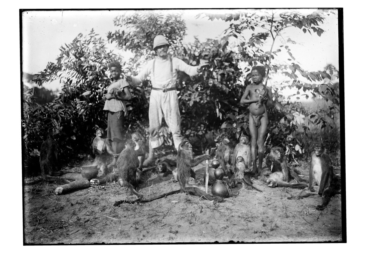 Małpy, ok. 1910 (zdjęcie czarno-białe) autorstwa Unbekannt