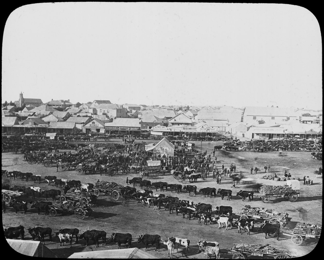 Targ poranny, Kimberley, RPA, ok. 1890 r. autorstwa Unbekannt